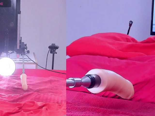 Ely-foxy live cam on BongaCams