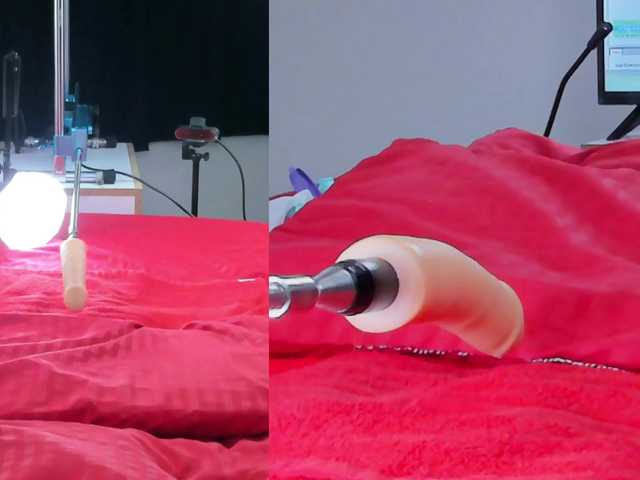 Ely-foxy live cam on BongaCams