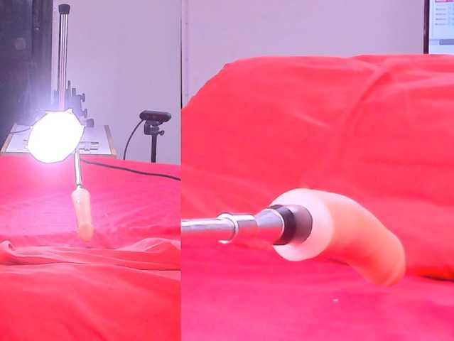 Ely-foxy live cam on BongaCams
