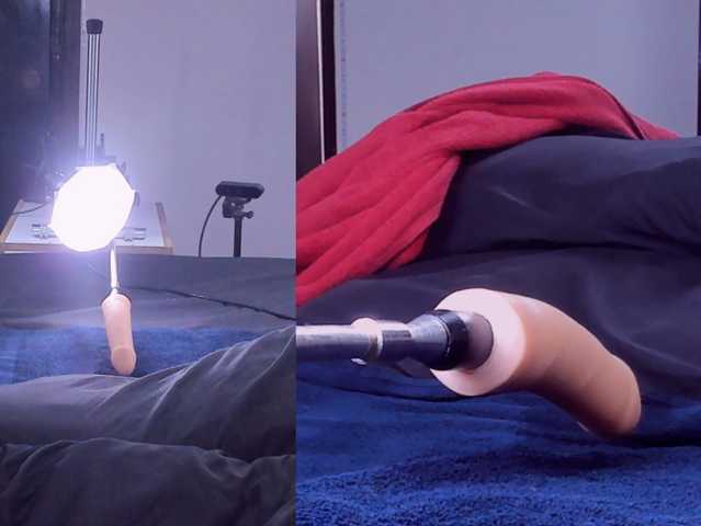 Ely-foxy live cam on BongaCams