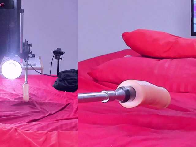 Ely-foxy live cam on BongaCams