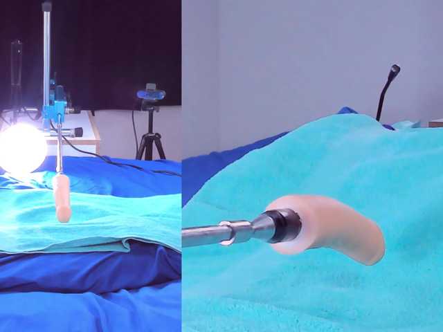 Ely-foxy live cam on BongaCams