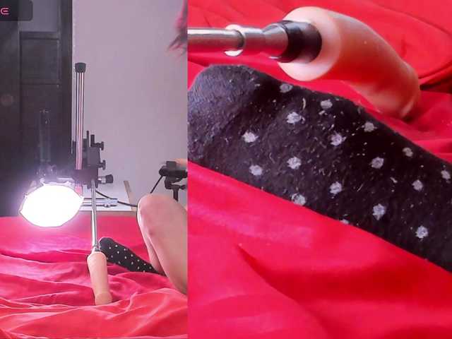 Ely-foxy live cam on BongaCams