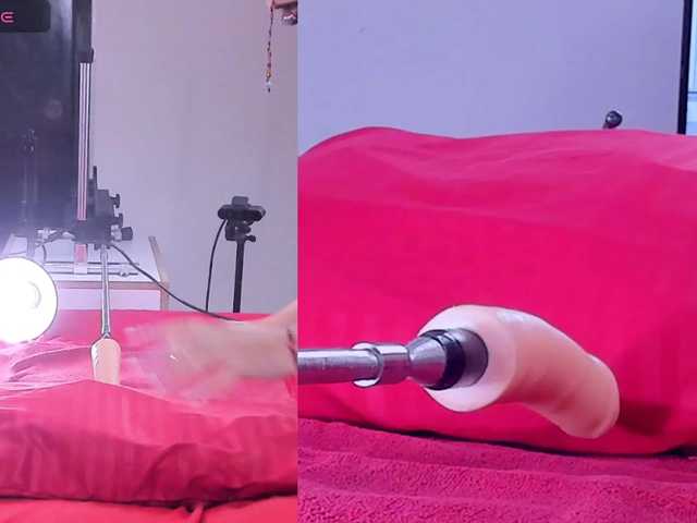 Ely-foxy live cam on BongaCams