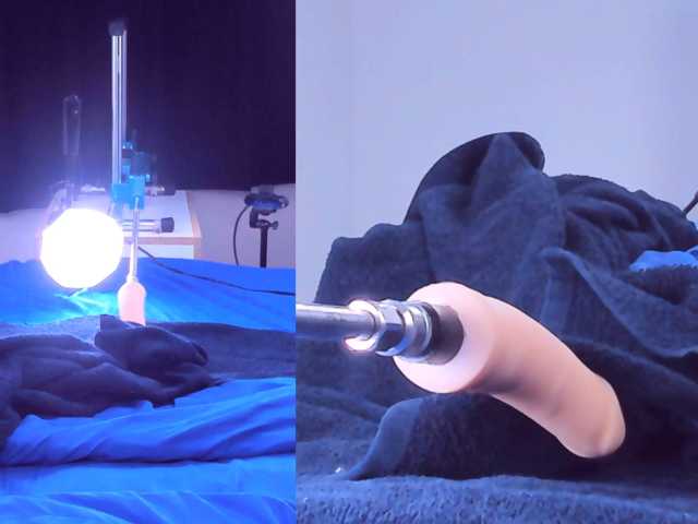 Ely-foxy live cam on BongaCams