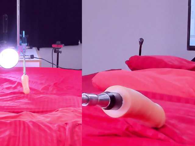 Ely-foxy live cam on BongaCams