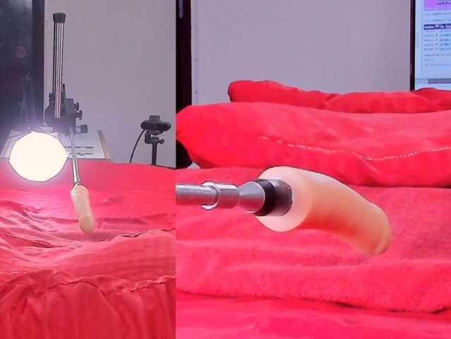 Ely-foxy live cam on BongaCams