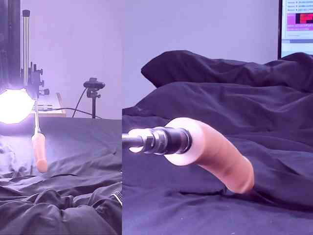 Ely-foxy webcam