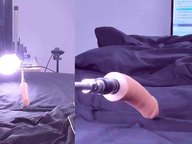 Ely-foxy webcam