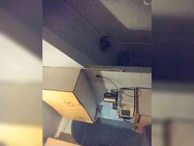 Baby-P webcam