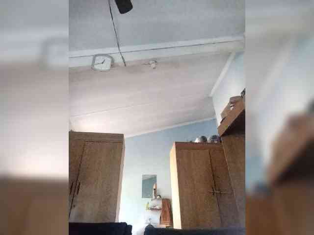 Baby-P webcam