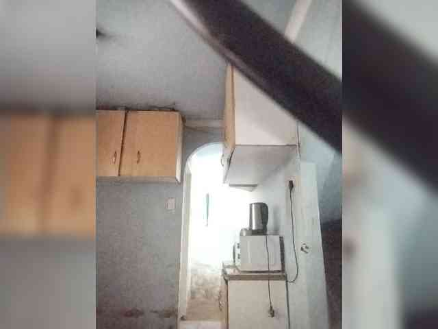 Baby-P webcam