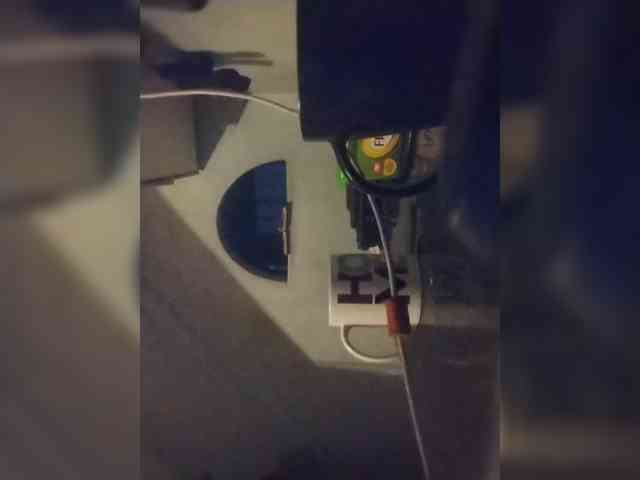Baby-P webcam