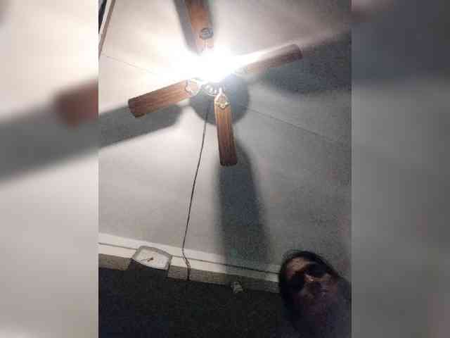 Baby-P webcam