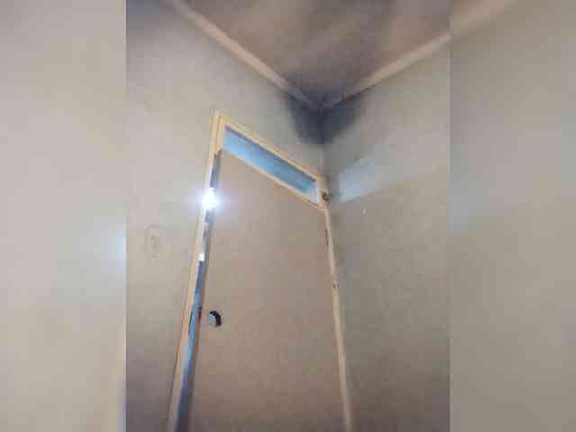 Baby-P webcam