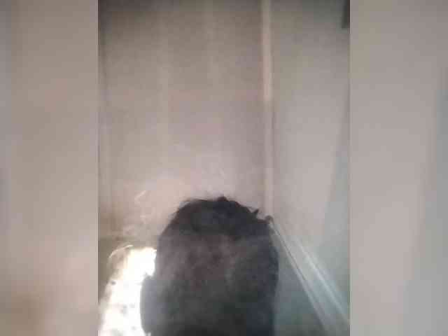 Baby-P webcam