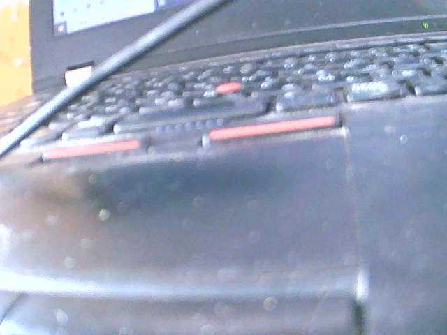 Saydah501