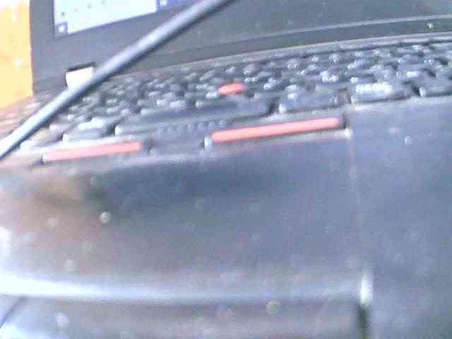 Saydah501 webcam