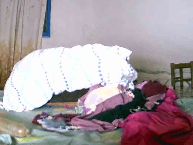 Saydah501