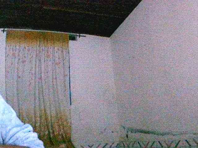 Saydah501