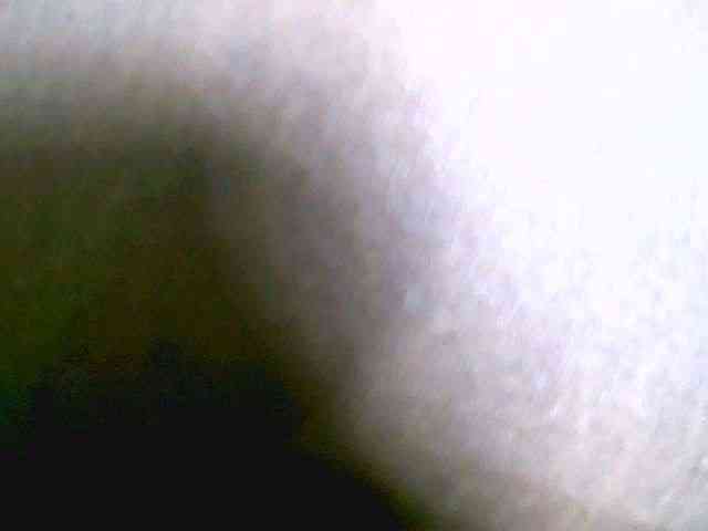 Saydah501 webcam