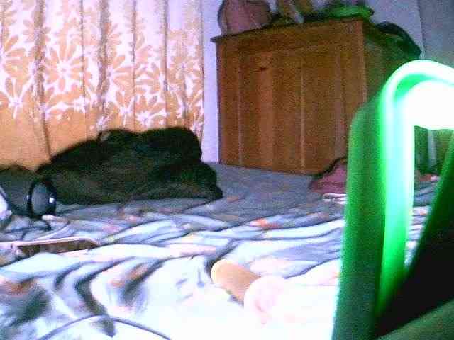 Saydah501 Saydah501