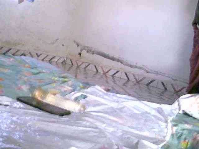 Saydah501