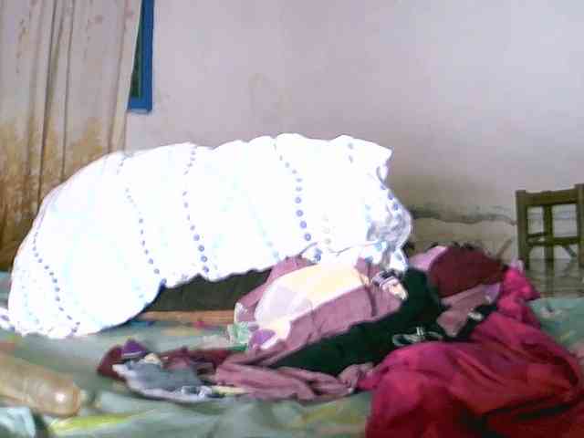 Saydah501