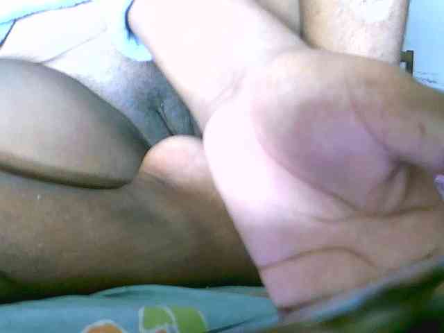 Modelo: Saydah501