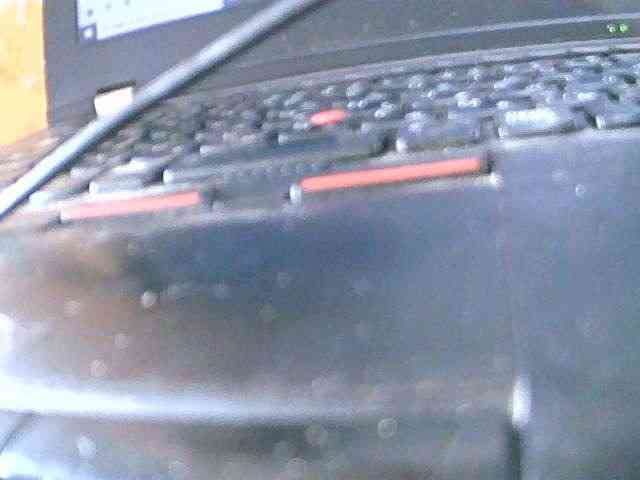 Saydah501 webcam