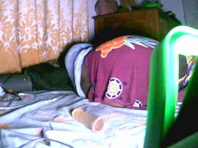 Saydah501