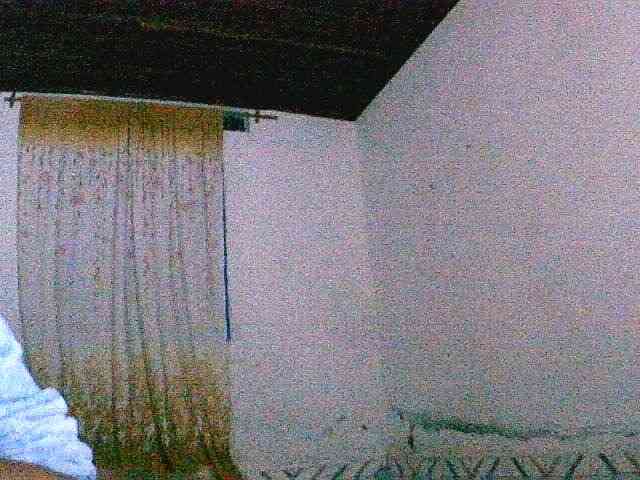 Saydah501 webcam