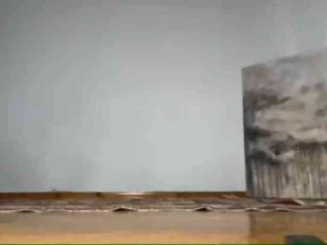 LizaPefferman webcam