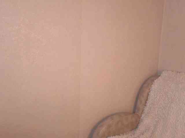 AliceNeonDoll webcam