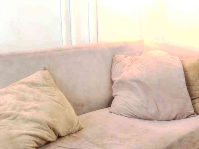 Luna-Velvett webcam