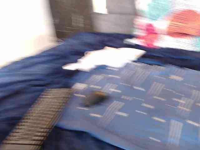 zoe08 webcam