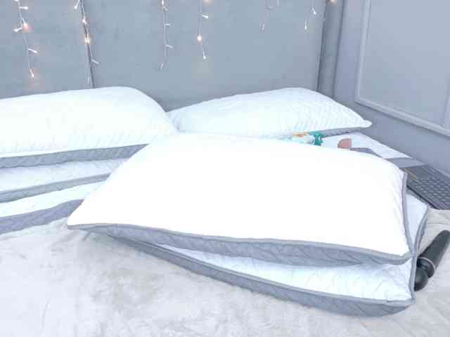 ZaharaFox2 webcam