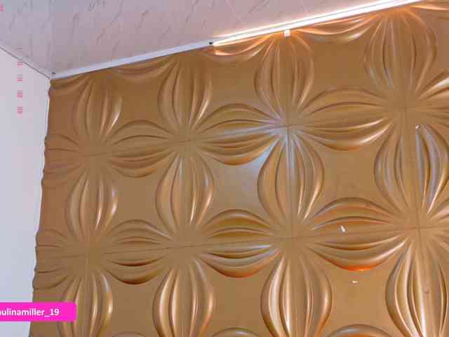 Paulinamiller webcam
