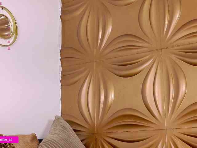Paulinamiller webcam