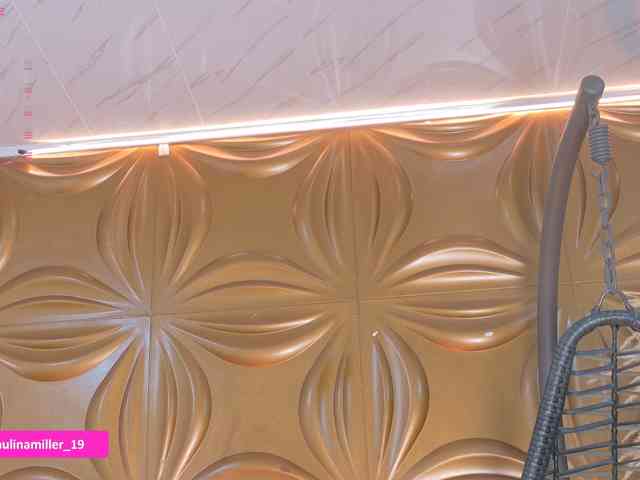 Paulinamiller webcam