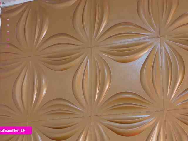 Paulinamiller webcam