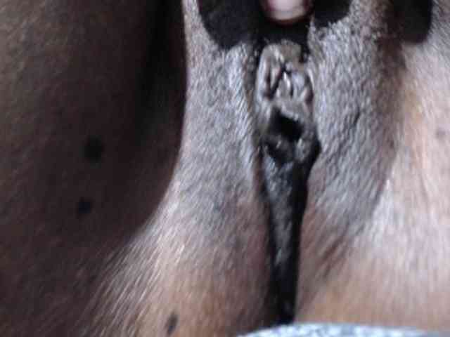 Nightnurse26 webcam
