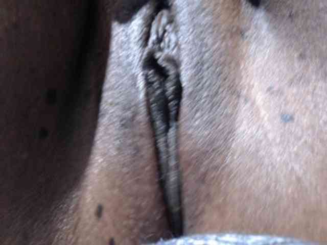 Nightnurse26 webcam