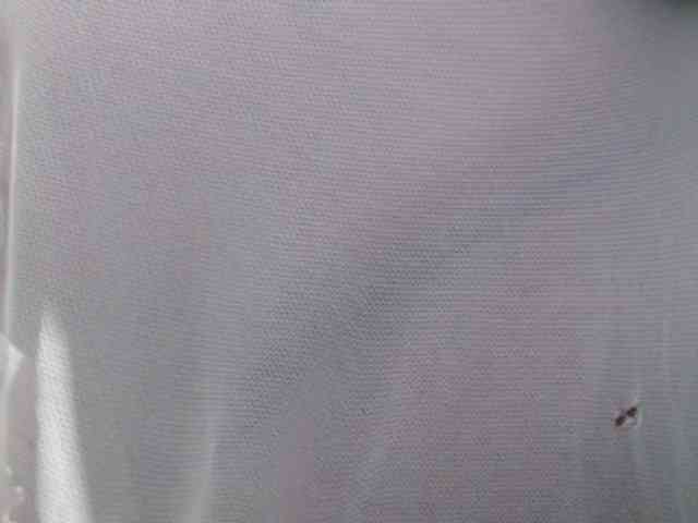 Nightnurse26 webcam