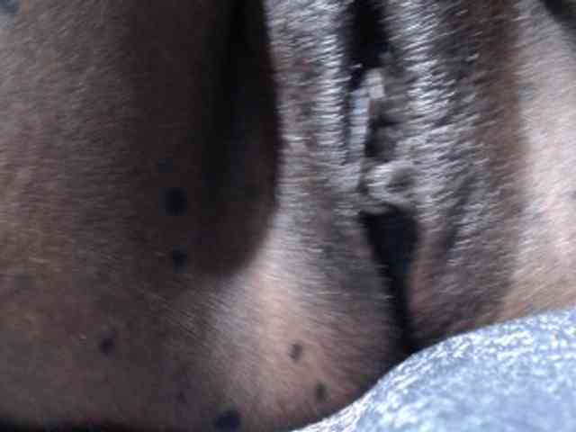 Nightnurse26 webcam