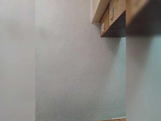SpeedyFakAllEZ-1