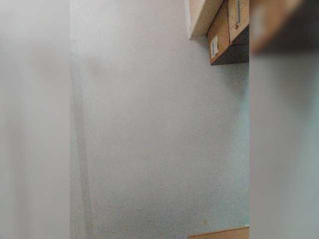 SpeedyFakAllEZ-1