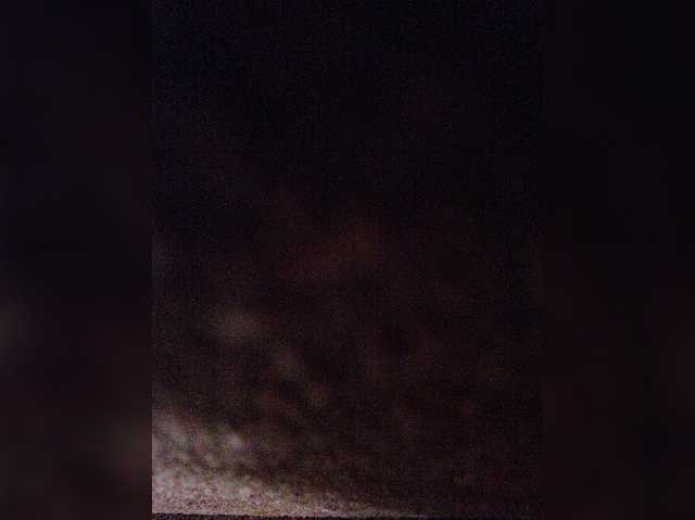 SpeedyFakAllEZ-1