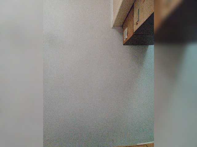 SpeedyFakAllEZ-1