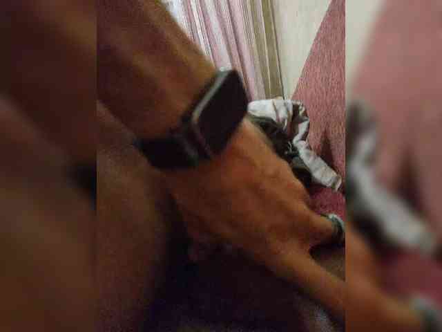 SpeedyFukAllEZ